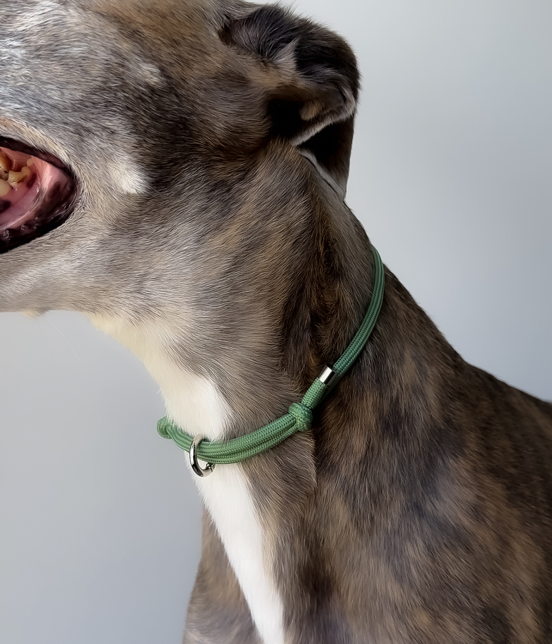 House Collar - Pistachio