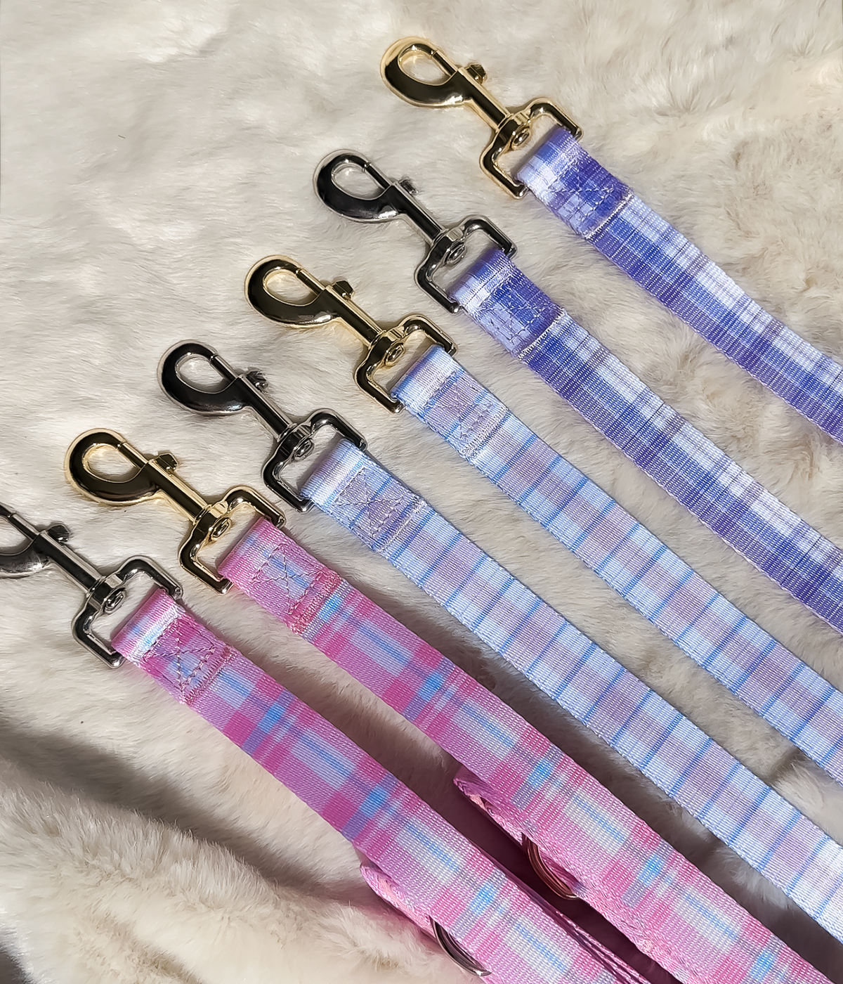 Plaid Lead