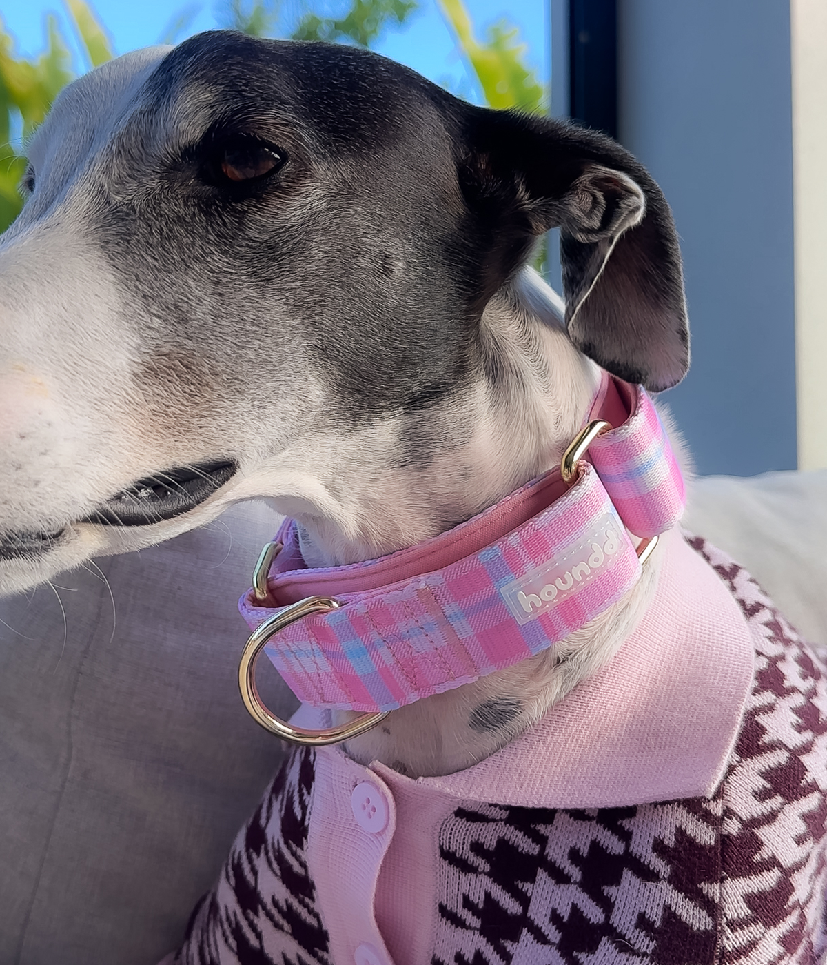 Martingale Collar - Plaid
