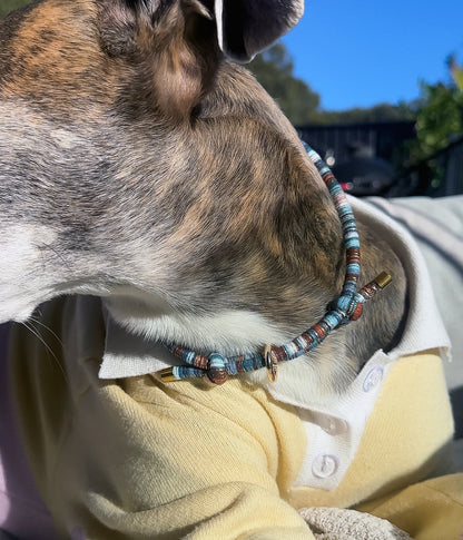 Ralph House Collar