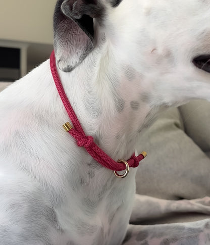 Waffle House Collar - Raspberry