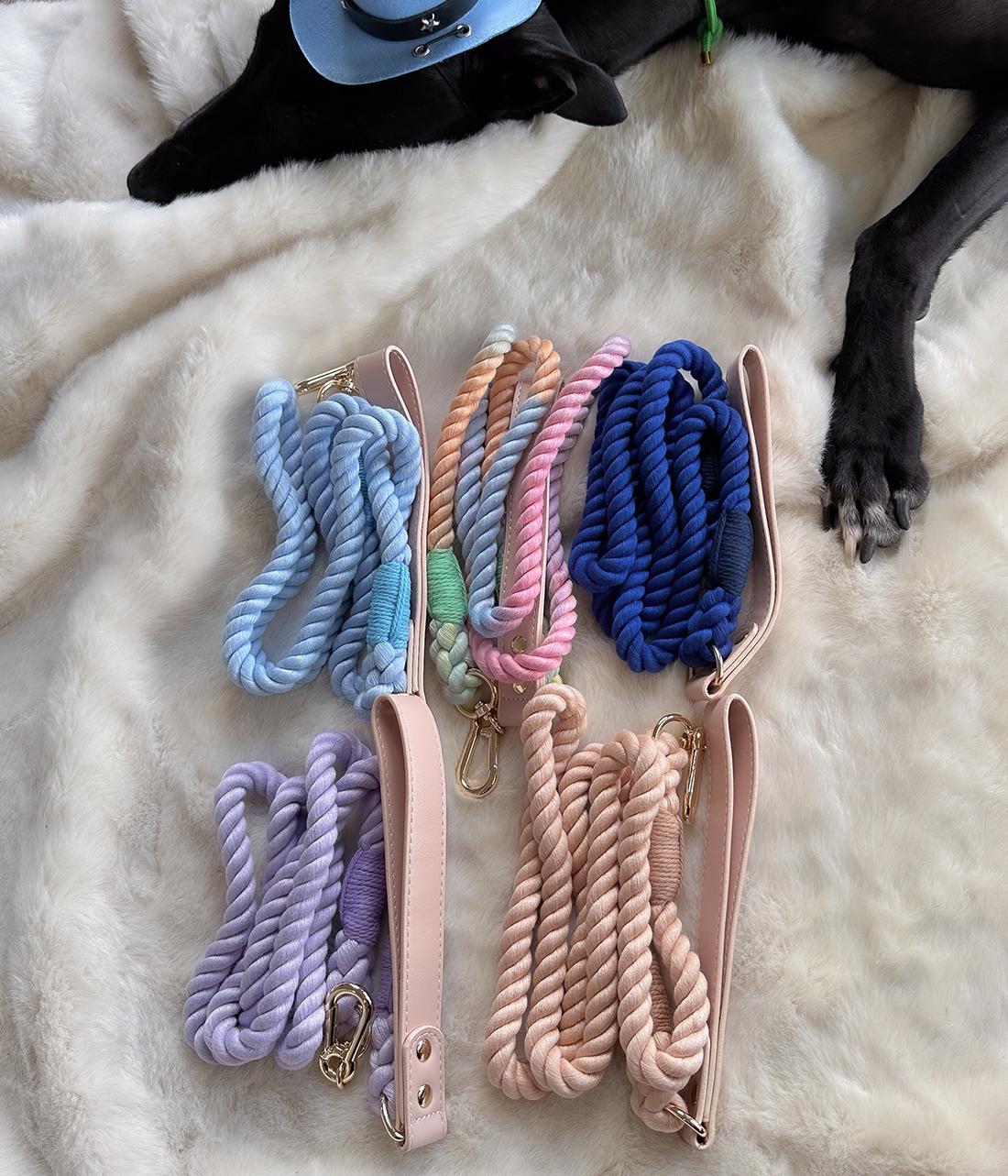 Twist Rope Dog Lead