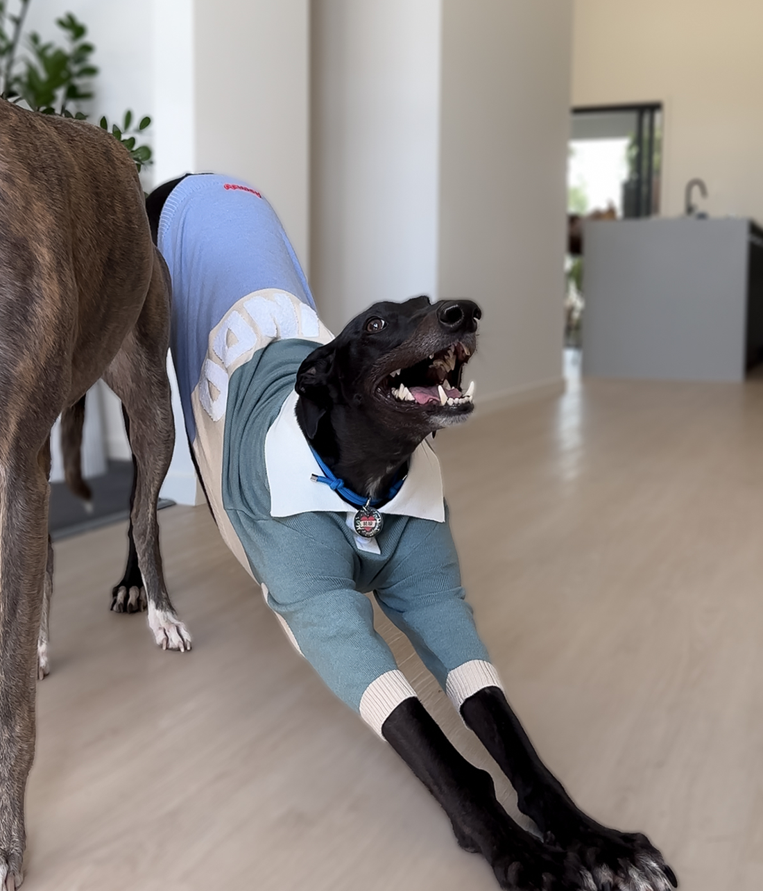 Polo Jersey - Sage Against The Machine