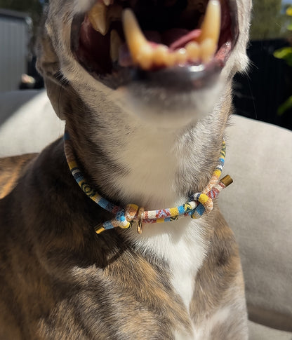 Boho House Collar - Shell
