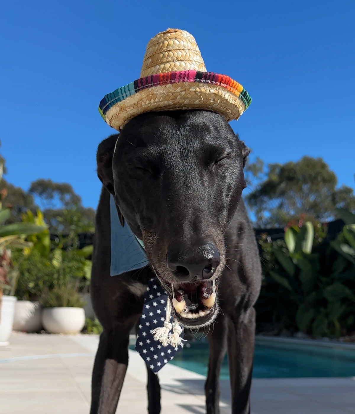 Sombrero
