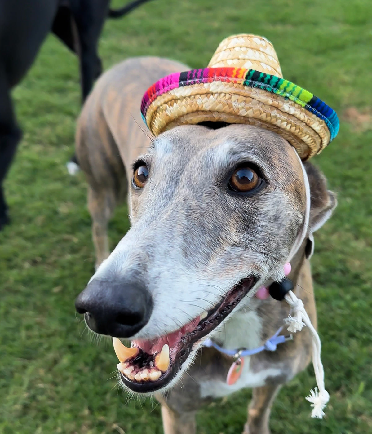 Sombrero