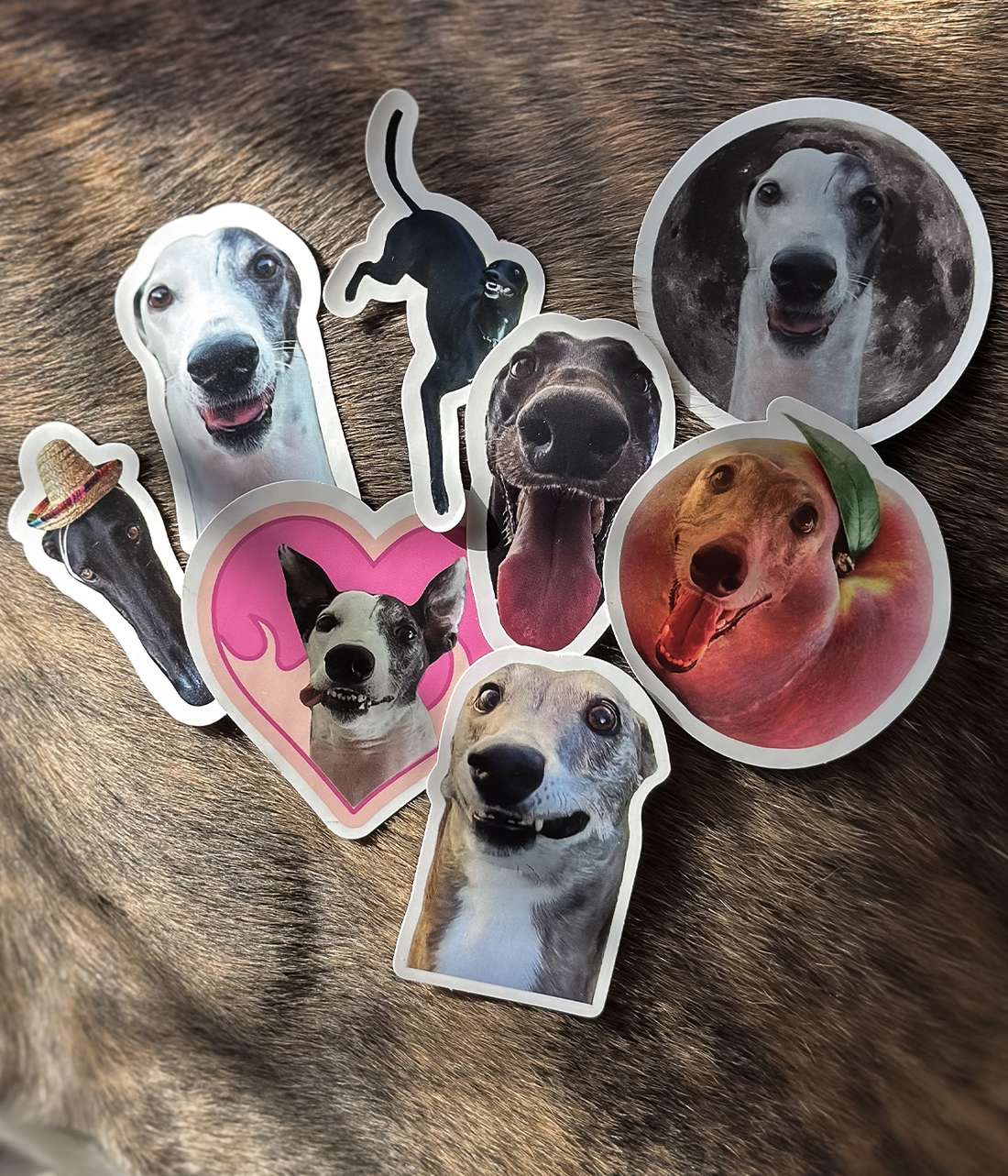 Peach, Bear, Luna Sticker Pack