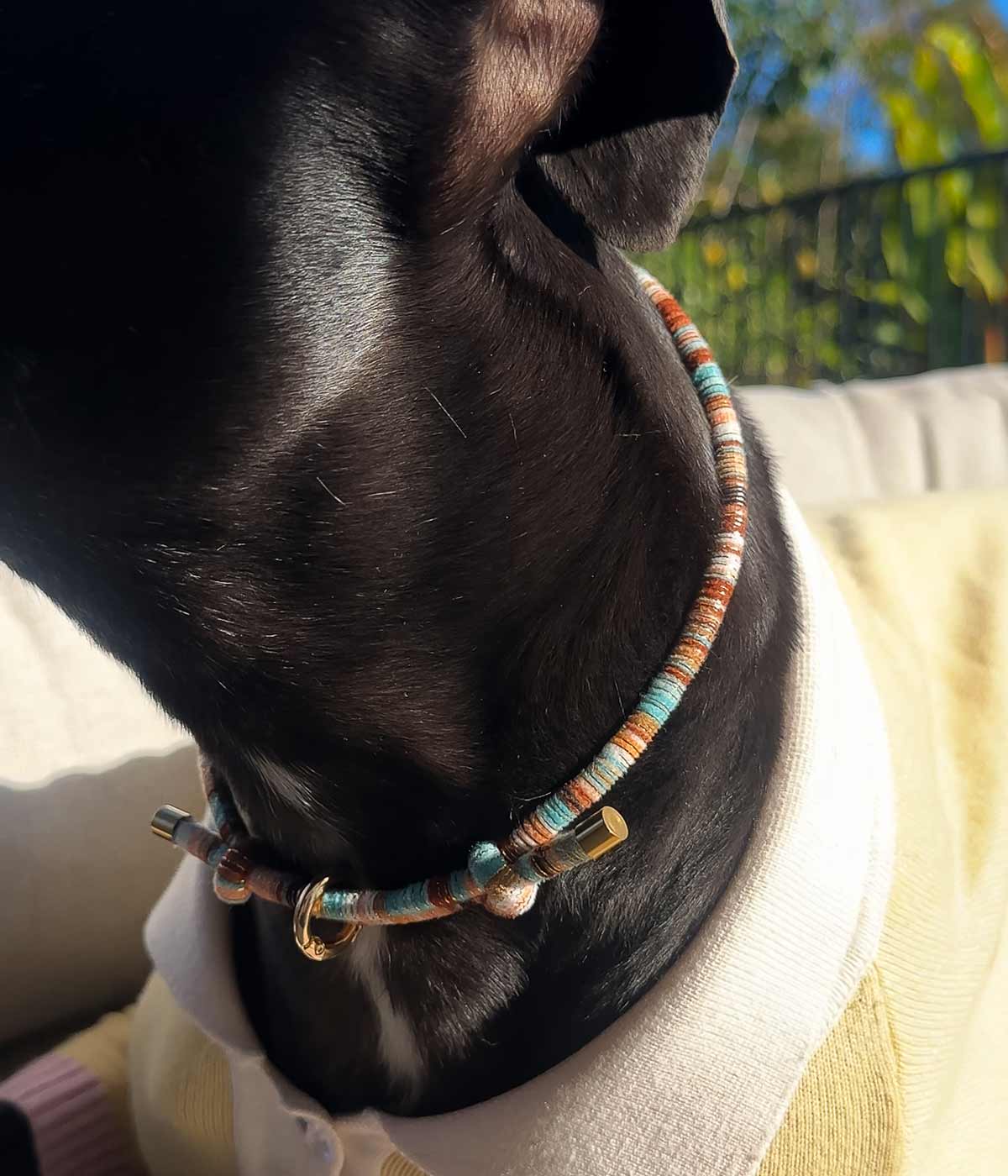 Suma House Collar
