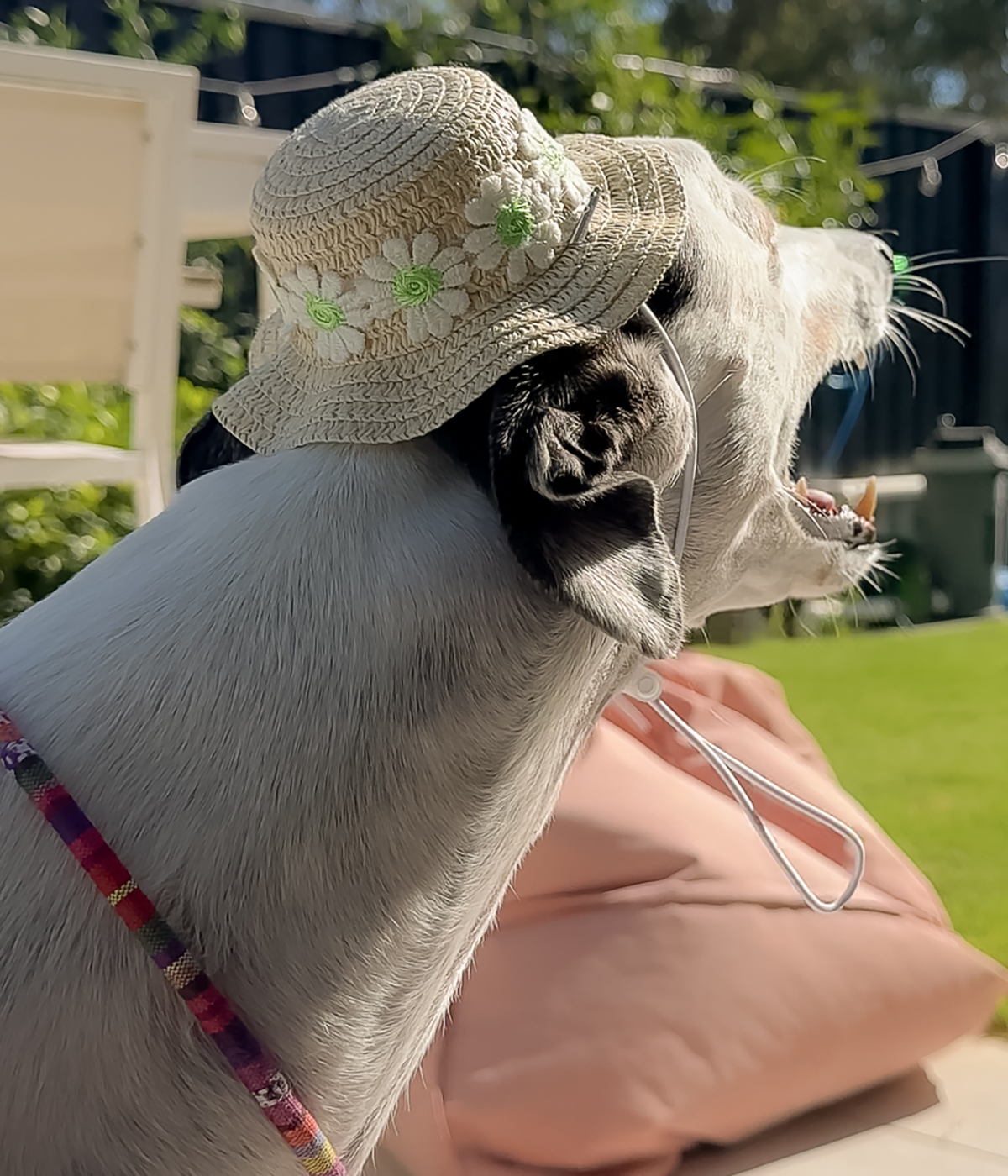 Sun Hat