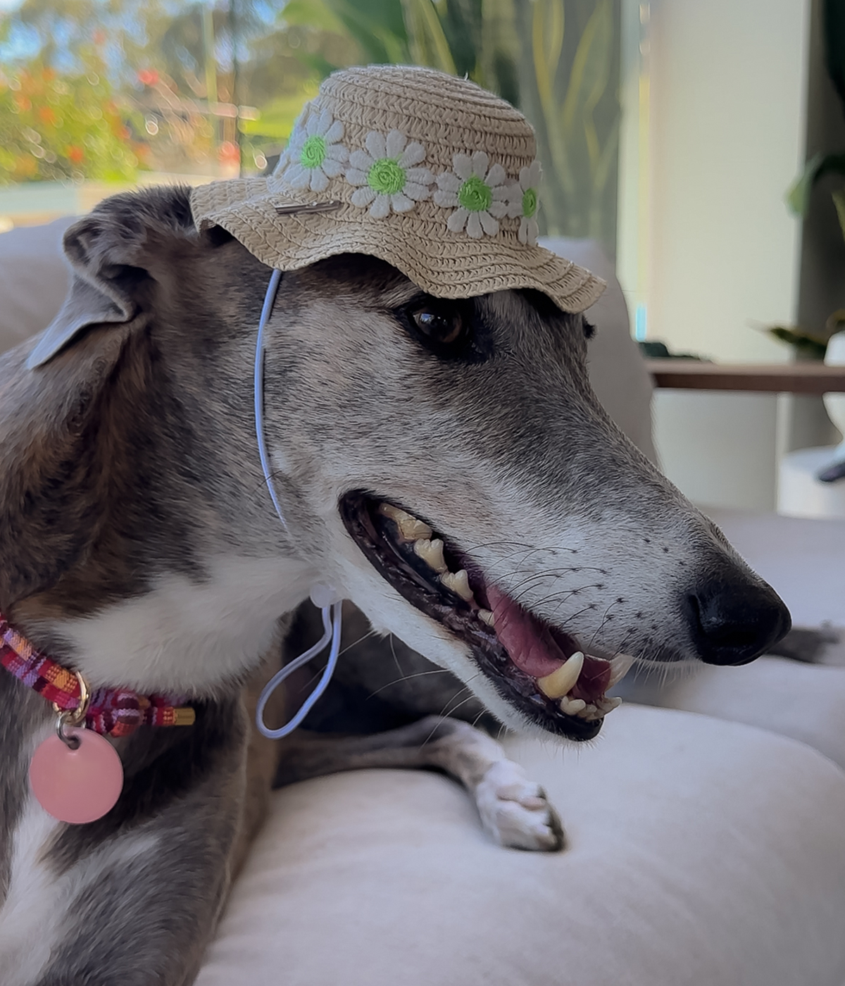 Sun Hat