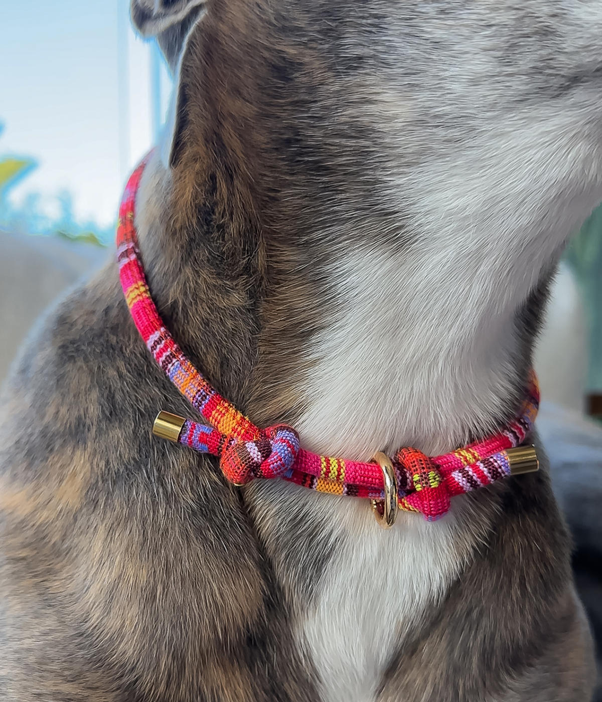 Boho House Collar - Sunset