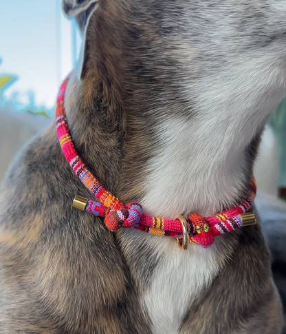 Boho House Collar - Sunset