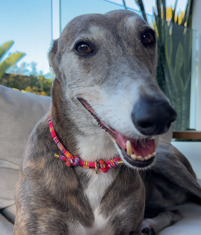 Boho House Collar - Sunset