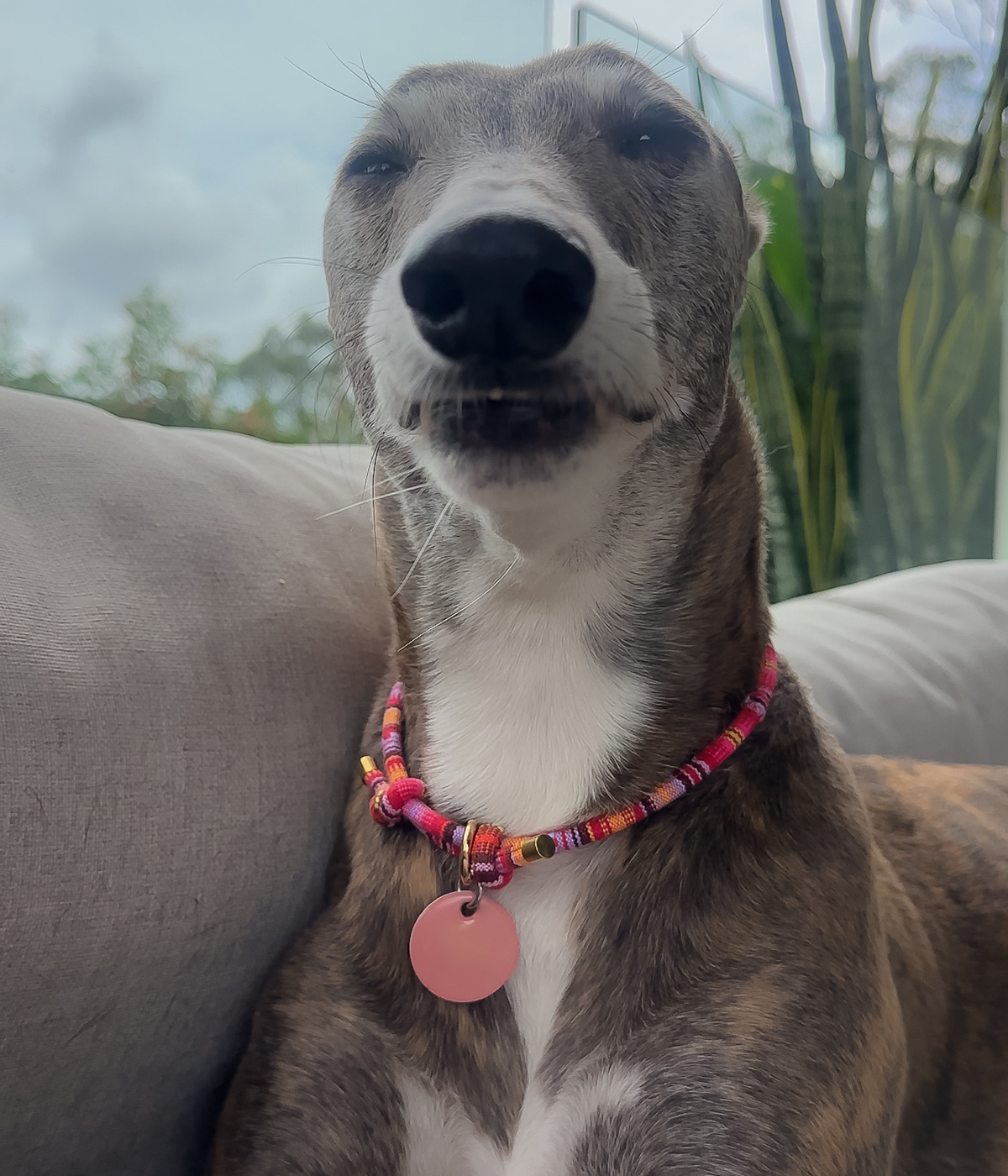 Boho House Collar - Sunset