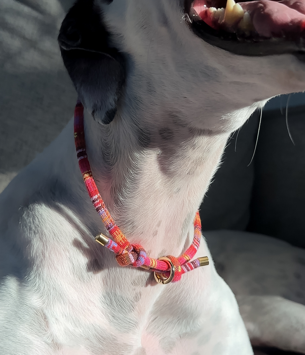 Boho House Collar - Sunset