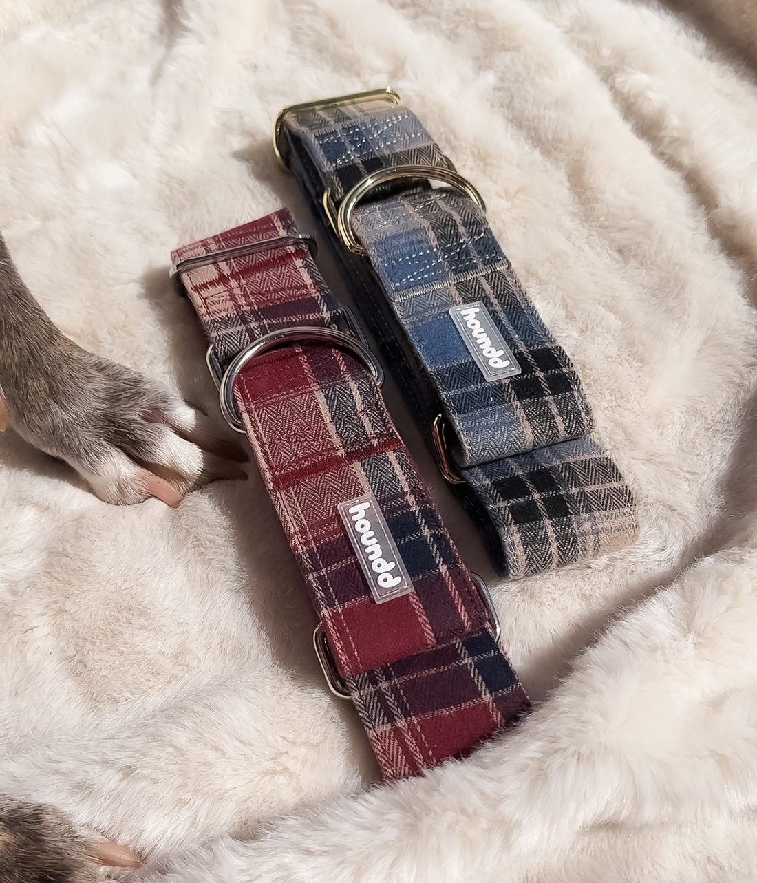 Martingale Collar - Tartan
