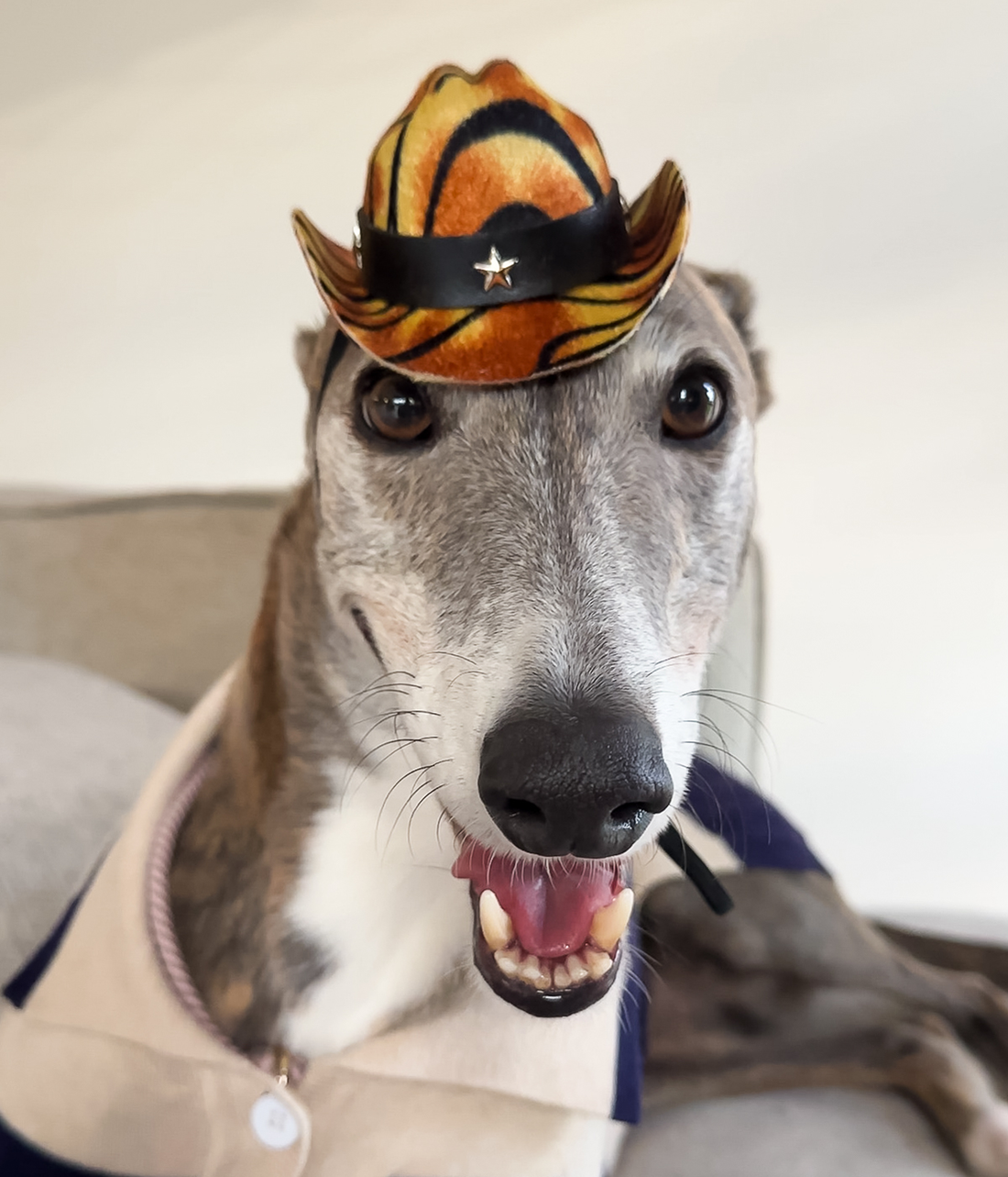 Cowboy Hat - Tiger Print