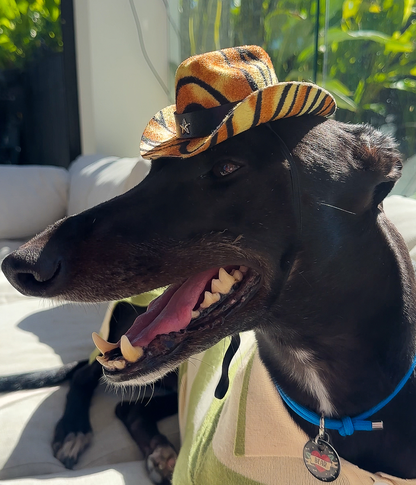 Cowboy Hat - Tiger Print