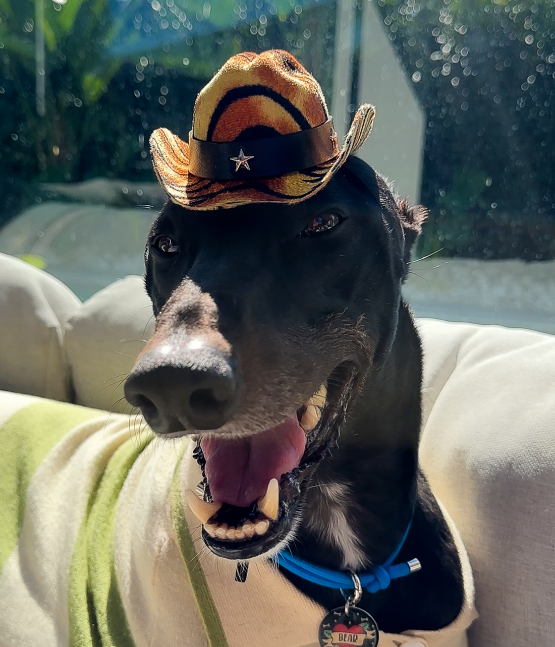 Cowboy Hat - Tiger Print