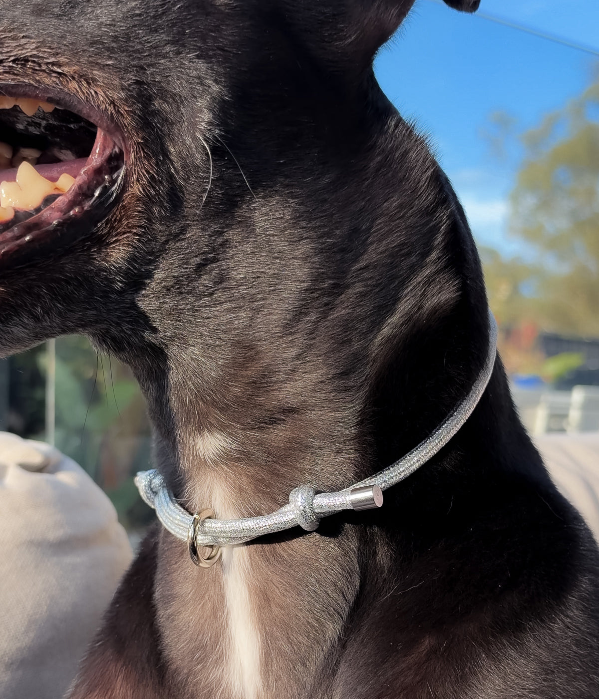 Glitter House Collar - Tinsel