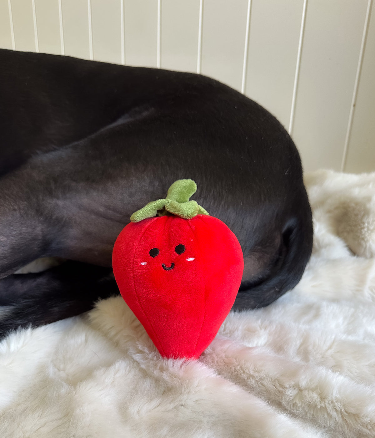 Farmers Market Plush Toys