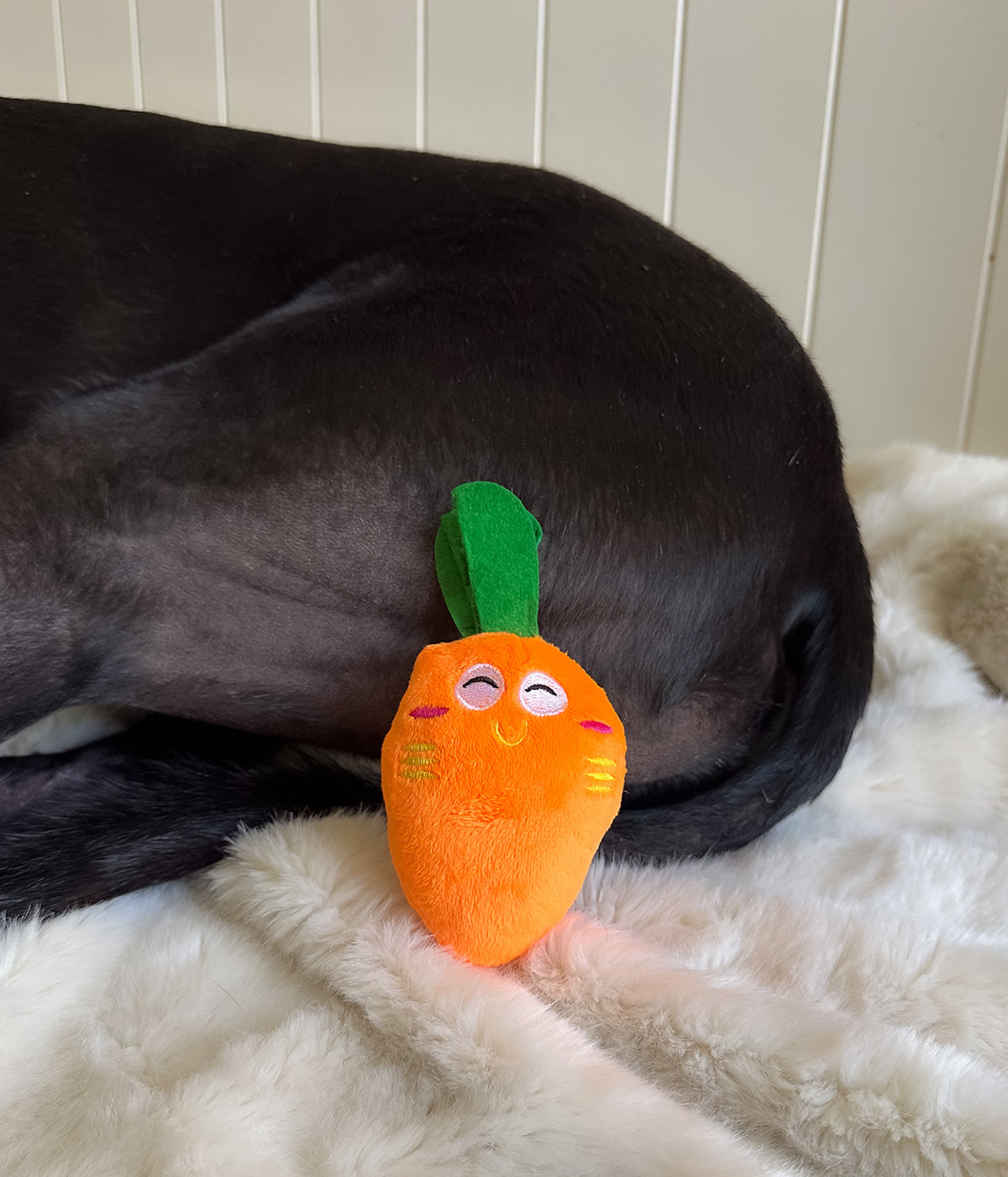 Farmers Market Plush Toys