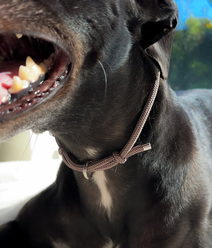 Waffle House Collar - Truffle
