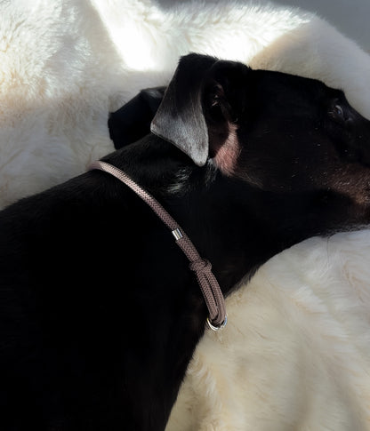 Waffle House Collar - Truffle