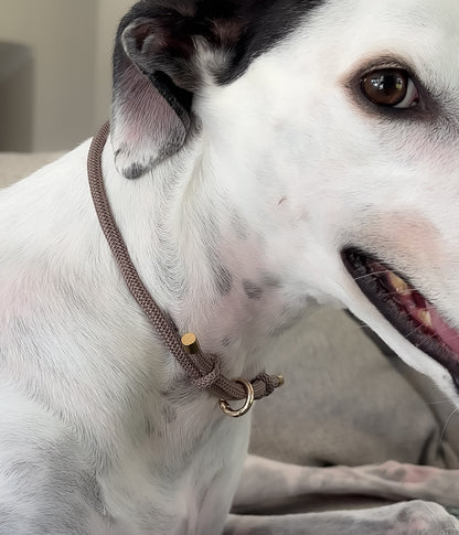 Waffle House Collar - Truffle