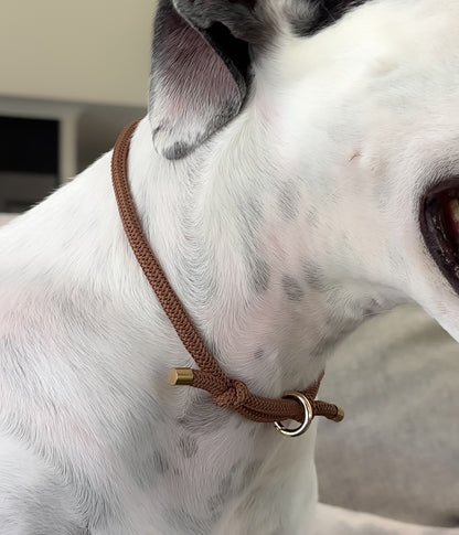 Waffle House Collar - Chocolate