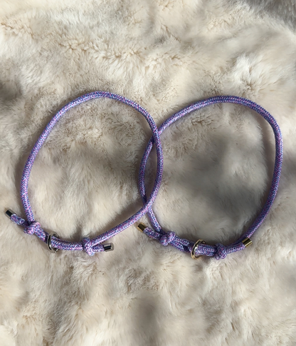 House Collar - Tutti Frutti