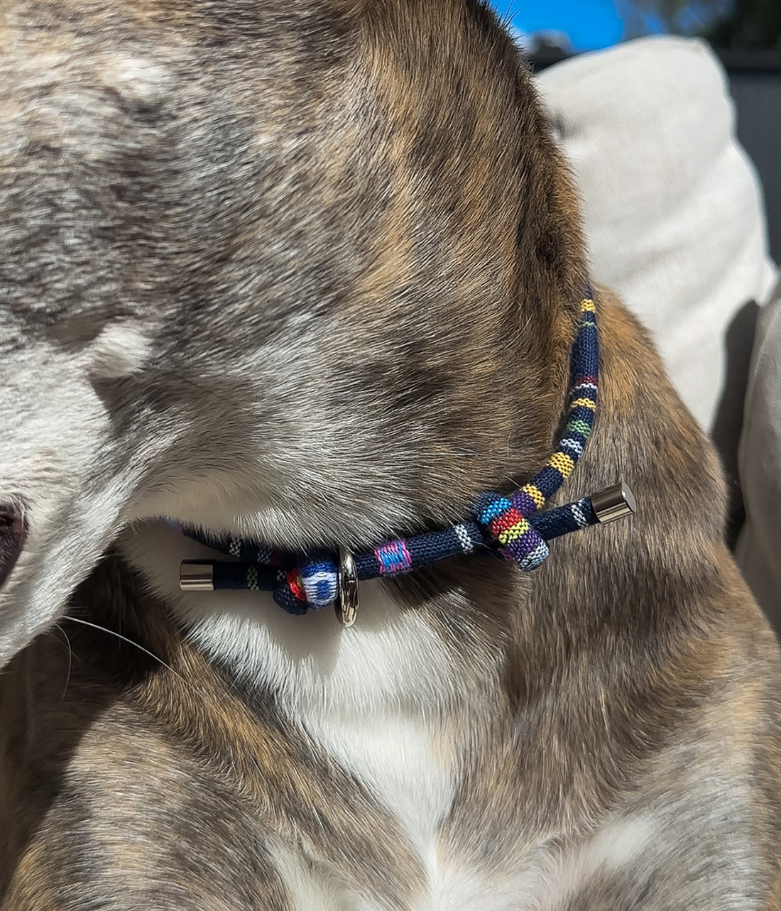 Boho House Collar - Twilight
