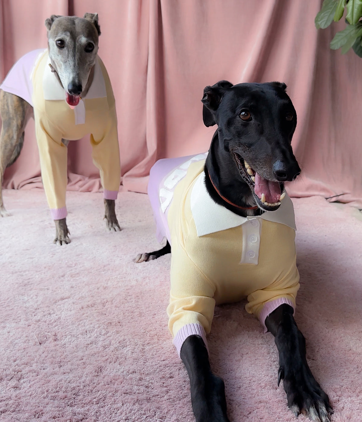 Walking On Sunshine Polo Jersey