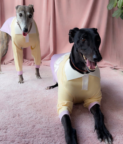 Walking On Sunshine Polo Jersey