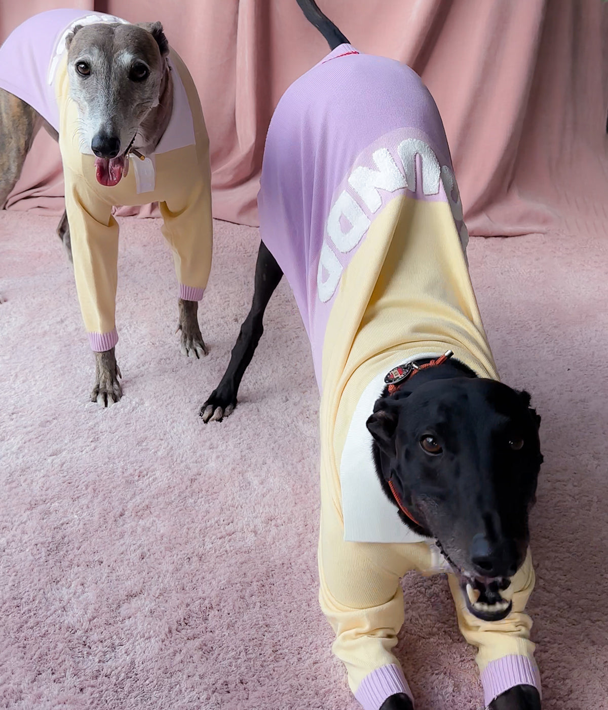 Walking On Sunshine Polo Jersey