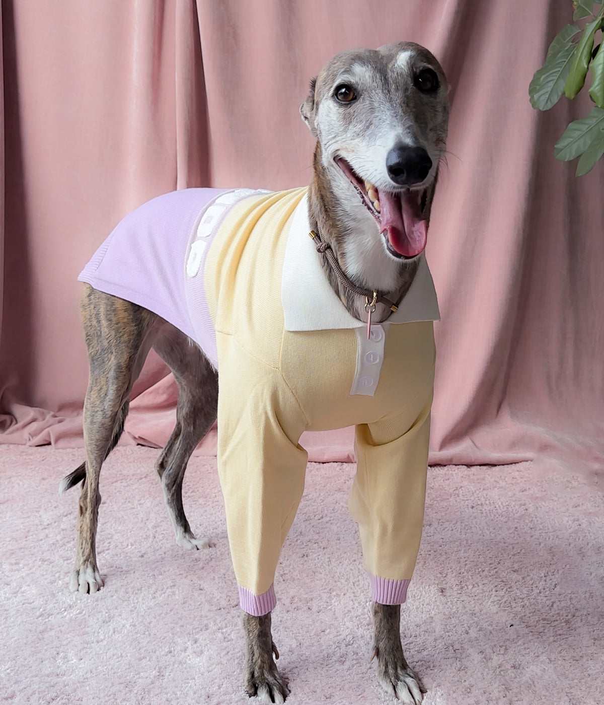 Walking On Sunshine Polo Jersey