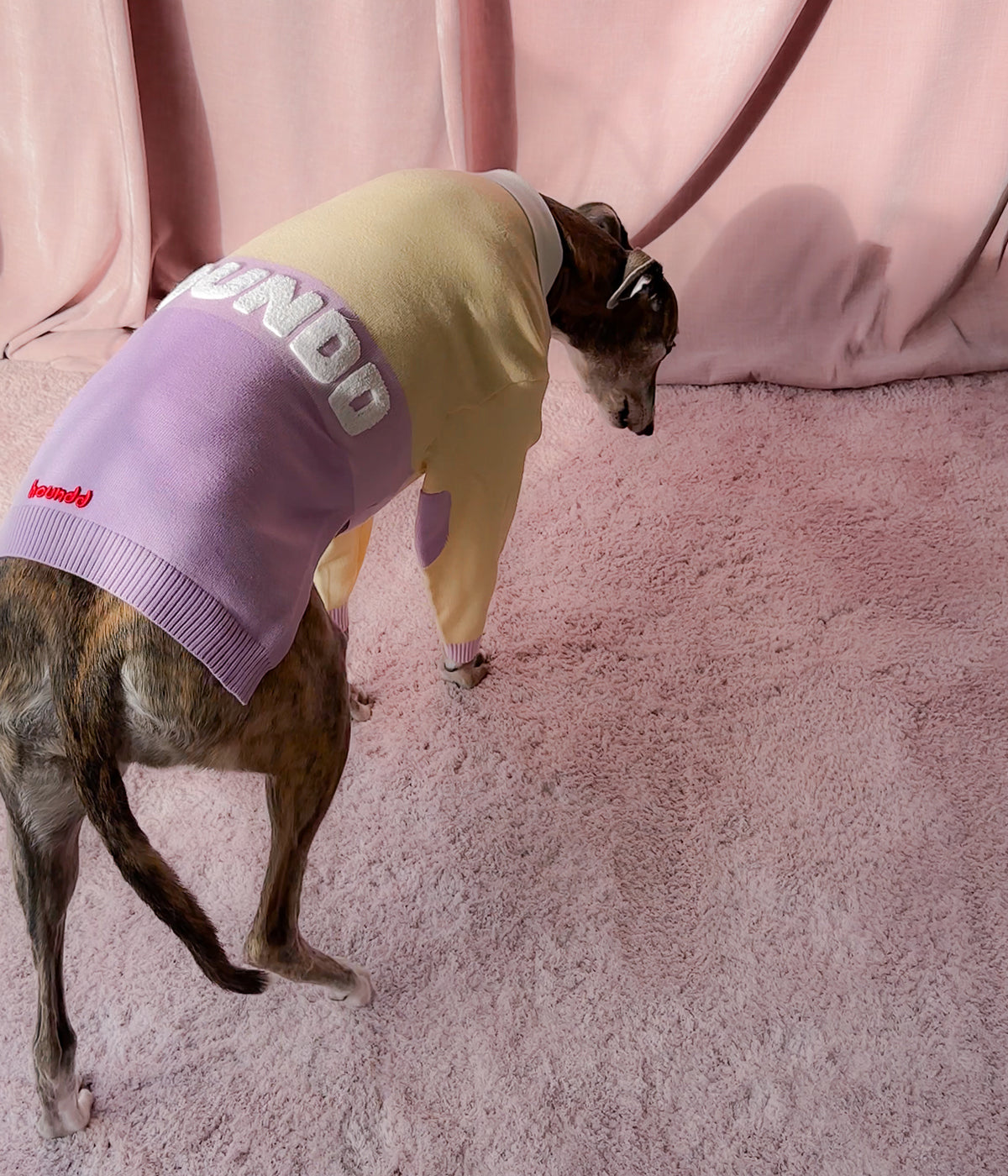 Walking On Sunshine Polo Jersey