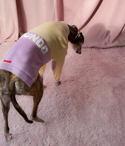 Walking On Sunshine Polo Jersey
