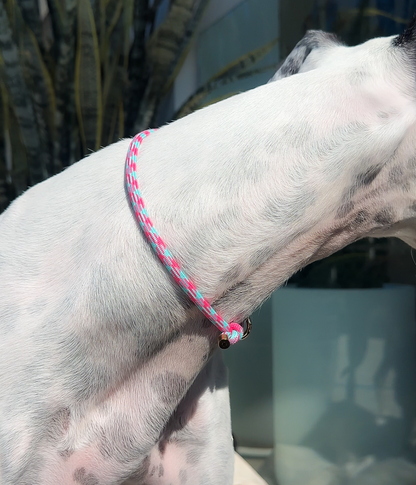 House Collar - Watermelon Mojito