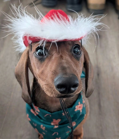 Cowboy Hat - Christmas