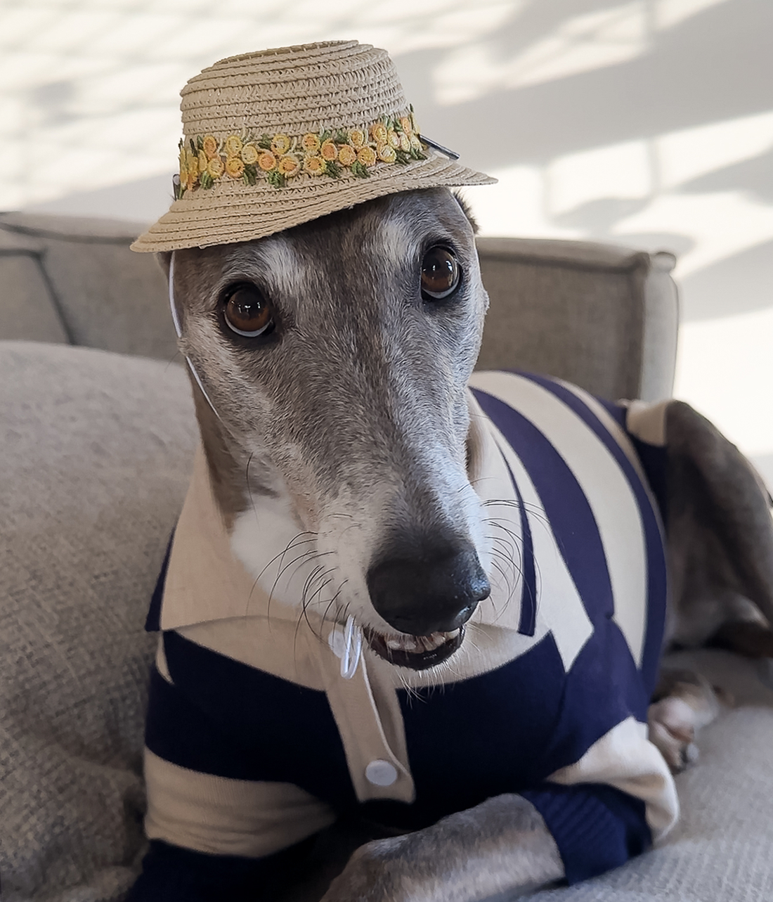 Sun Hat