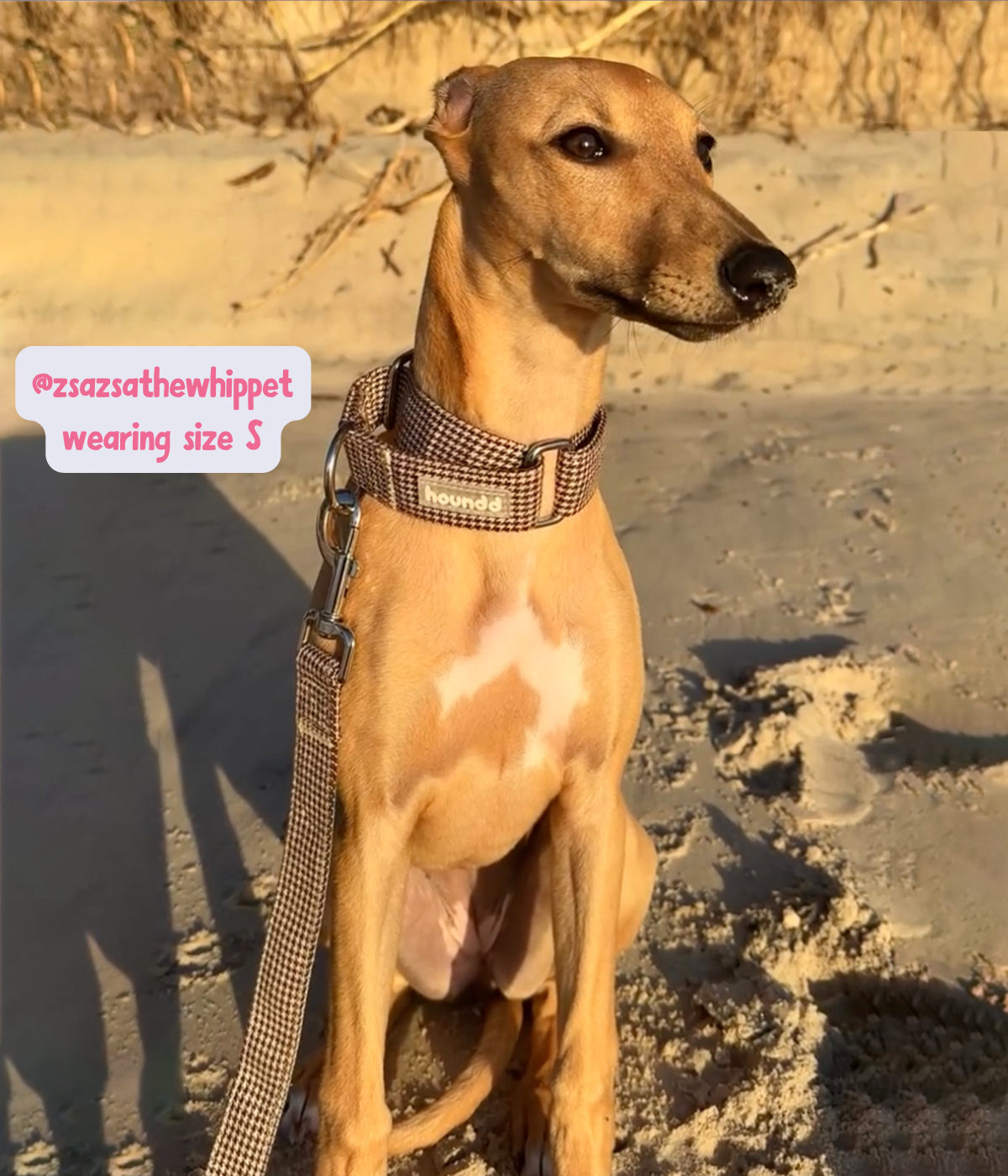 Martingale Collar - Hounddstooth